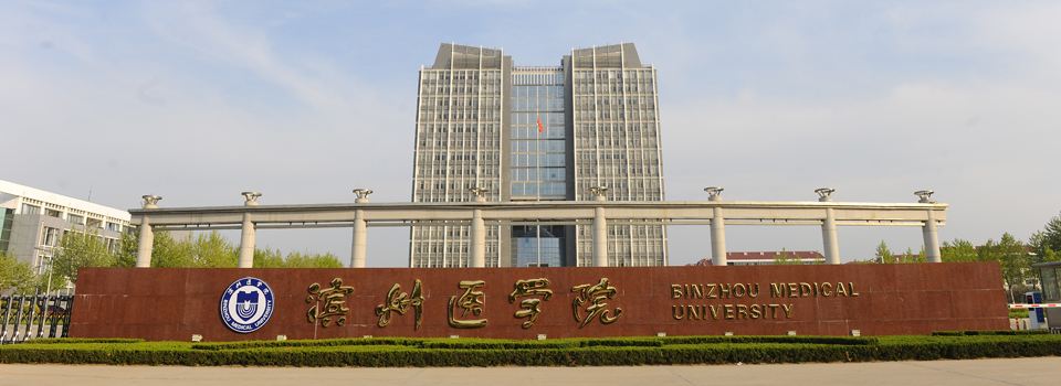 北海岸管道阀门有限公司 北海岸管道阀门有限公司